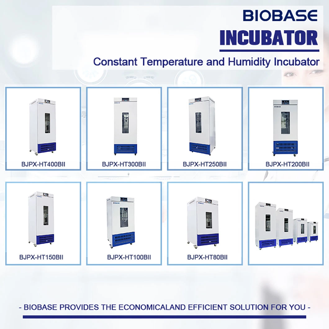 Biobase Heating and Cooling Bath Thermostatic Water Oil Bath